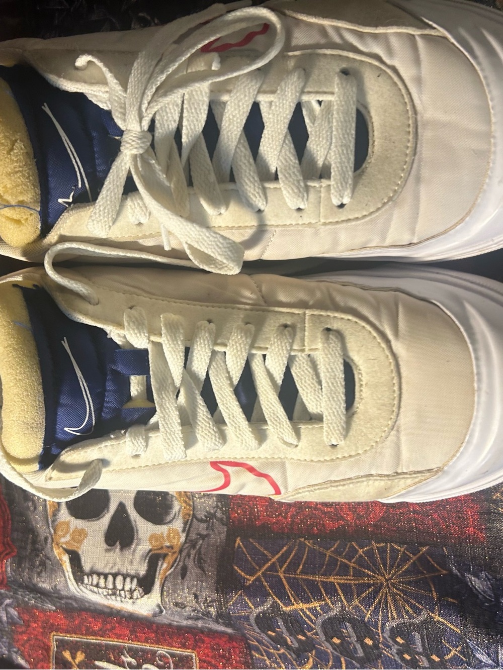 Nike White Low-Top Athletic Sneakers with Blue and Red Accents